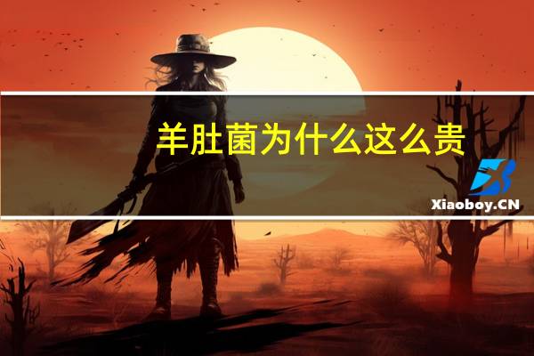羊肚菌为什么这么贵