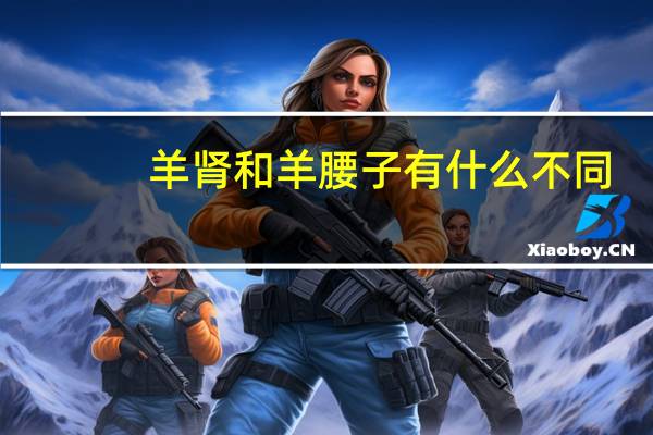 羊肾和羊腰子有什么不同