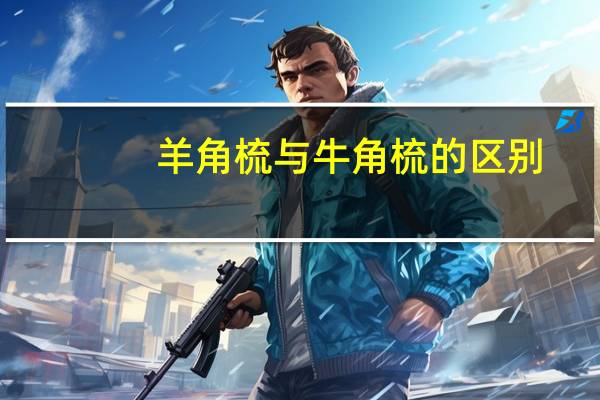 羊角梳与牛角梳的区别