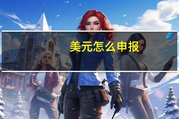 美元怎么申报