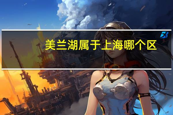 美兰湖属于上海哪个区