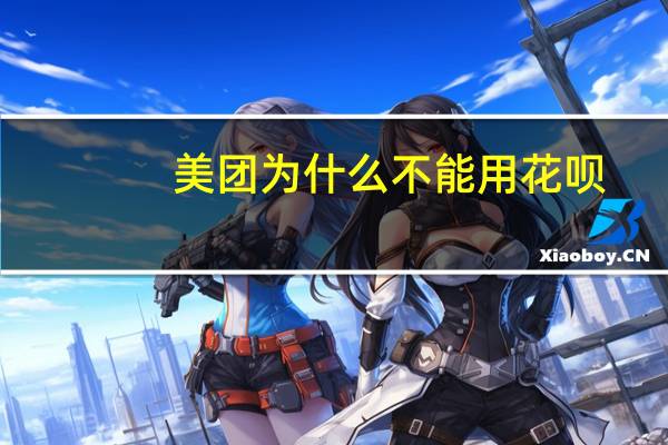 美团为什么不能用花呗