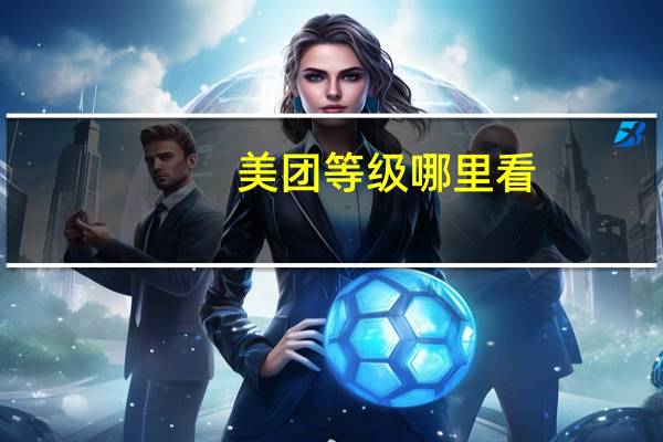 美团等级哪里看