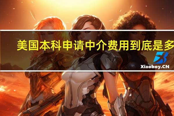美国本科申请中介费用到底是多少