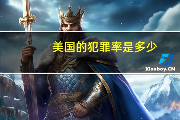 美国的犯罪率是多少