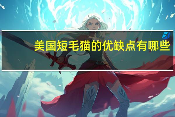 美国短毛猫的优缺点有哪些