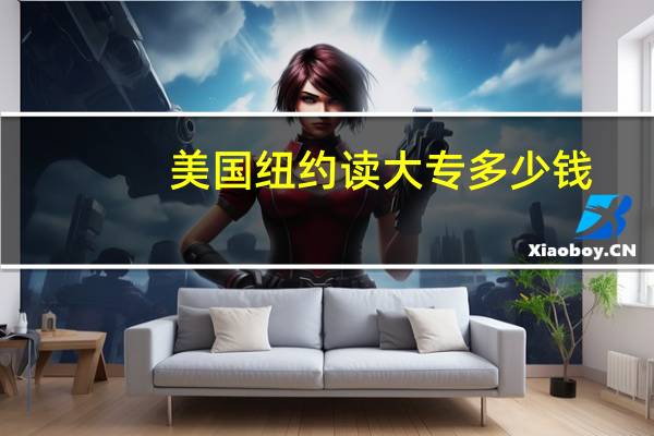美国纽约读大专多少钱