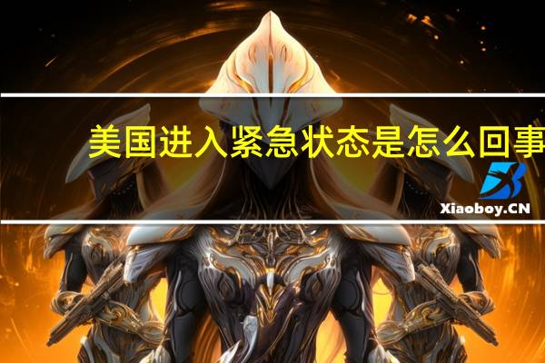 美国进入紧急状态是怎么回事