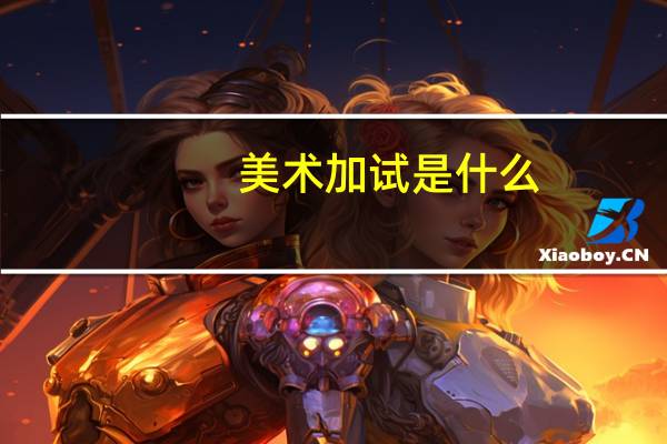 美术加试是什么