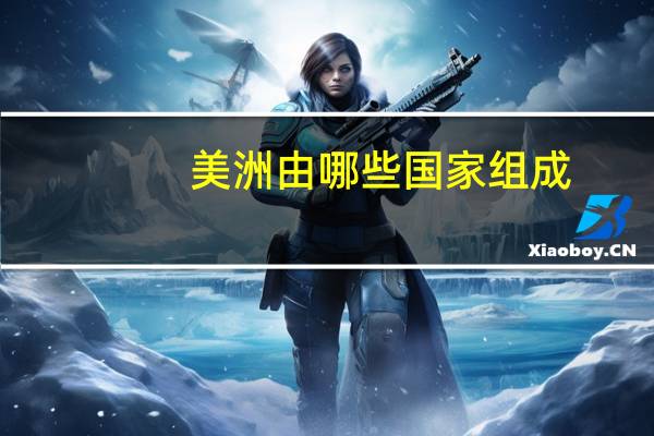 美洲由哪些国家组成