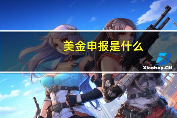 美金申报是什么