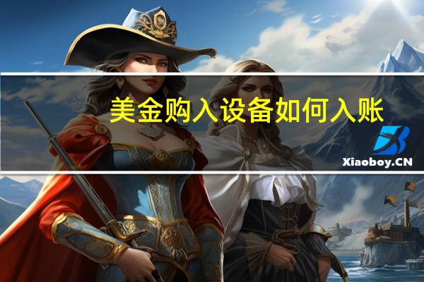 美金购入设备如何入账