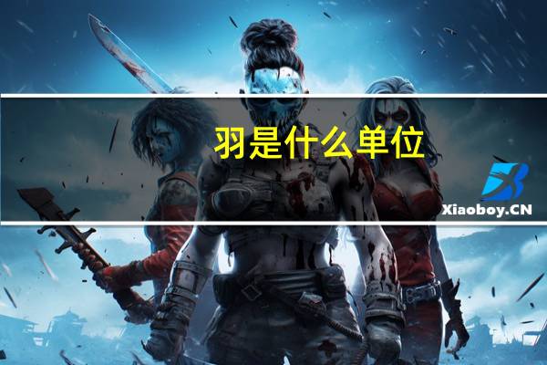 羽是什么单位
