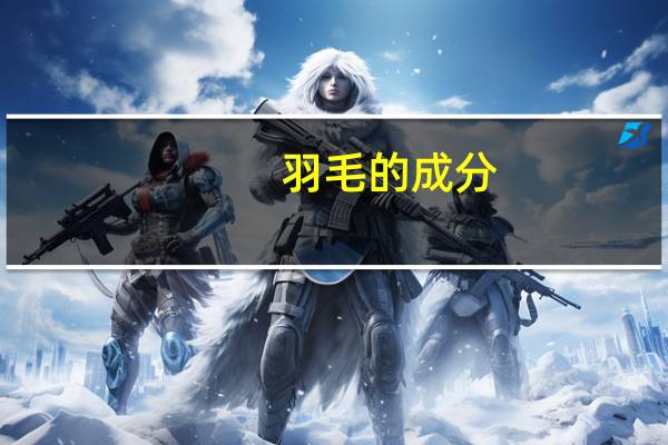 羽毛的成分