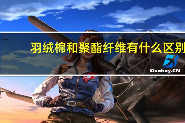 羽绒棉和聚酯纤维有什么区别