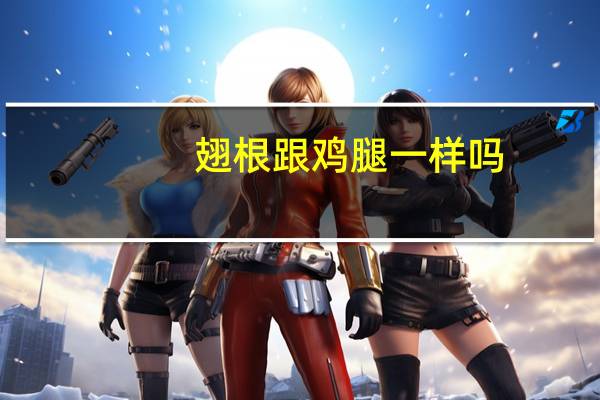 翅根跟鸡腿一样吗