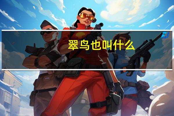 翠鸟也叫什么
