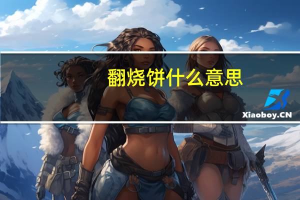 翻烧饼什么意思
