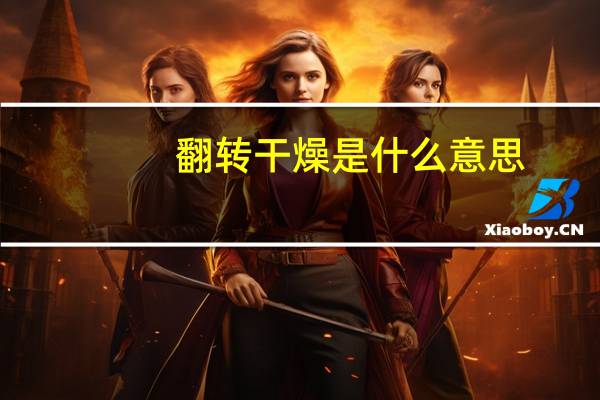 翻转干燥是什么意思