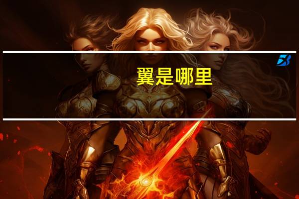 翼是哪里