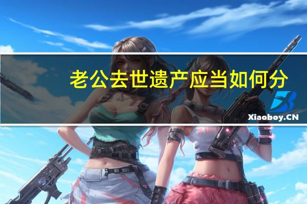 老公去世遗产应当如何分