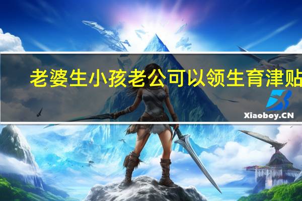 老婆生小孩老公可以领生育津贴吗