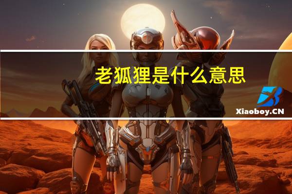 老狐狸是什么意思