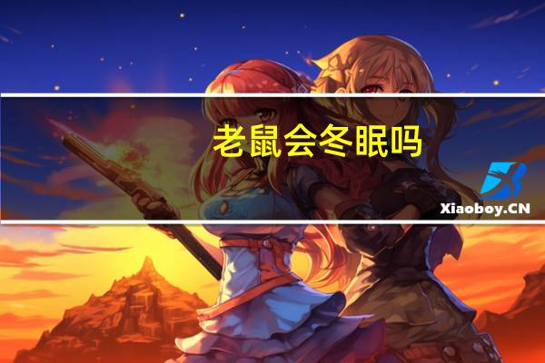 老鼠会冬眠吗