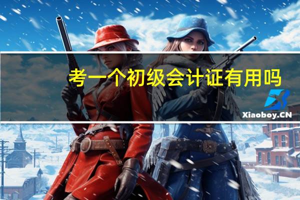 考一个初级会计证有用吗