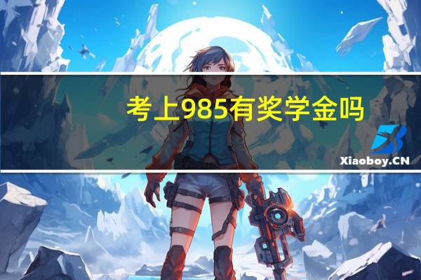 考上985有奖学金吗