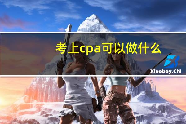考上cpa可以做什么