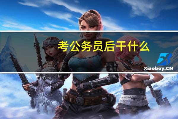 考公务员后干什么