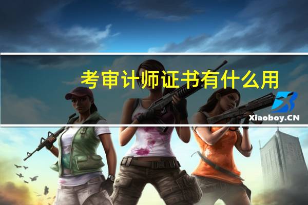 考审计师证书有什么用