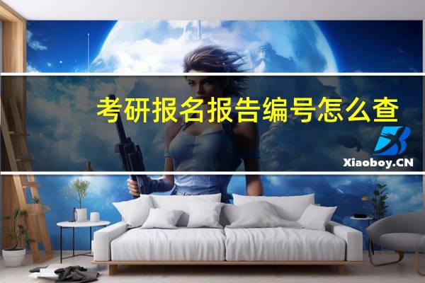 考研报名报告编号怎么查