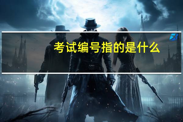 考试编号指的是什么