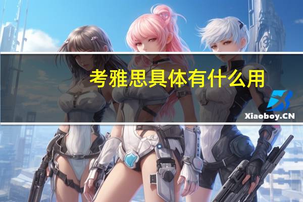 考雅思具体有什么用