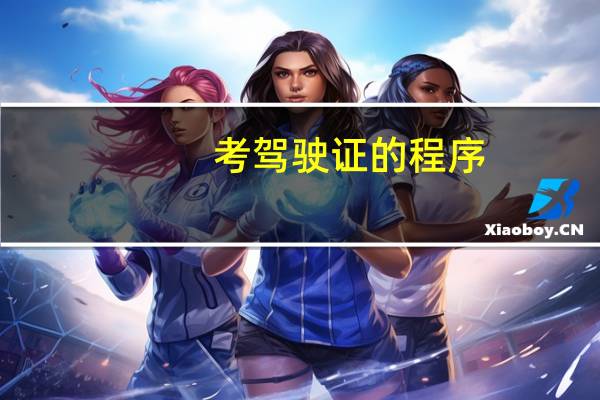考驾驶证的程序