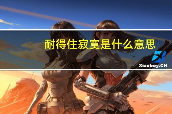 耐得住寂寞是什么意思