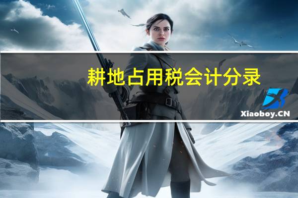 耕地占用税会计分录