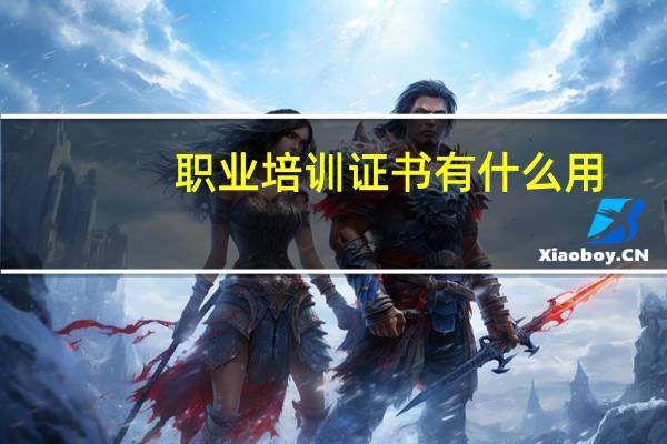 职业培训证书有什么用