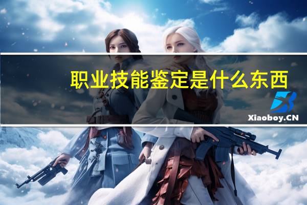职业技能鉴定是什么东西