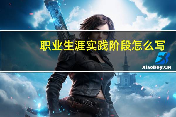 职业生涯实践阶段怎么写