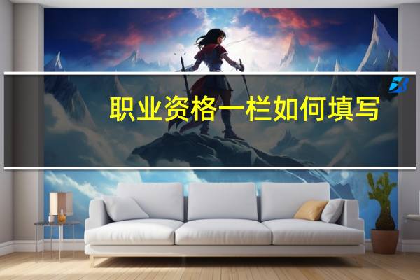 职业资格一栏如何填写