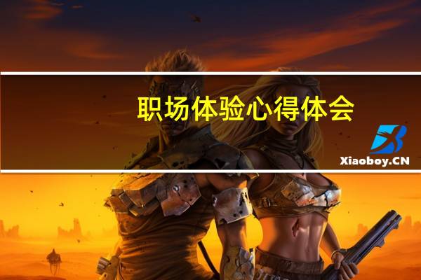 职场体验心得体会