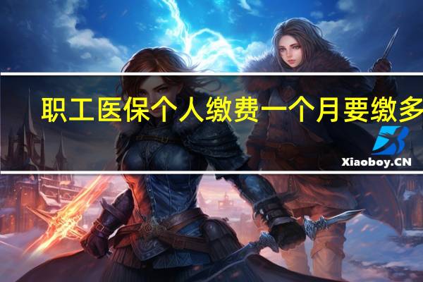 职工医保个人缴费一个月要缴多少