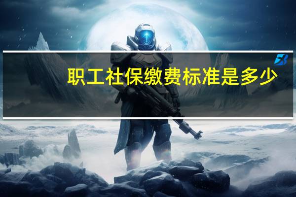 职工社保缴费标准是多少