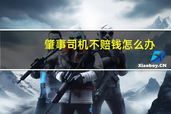 肇事司机不赔钱怎么办