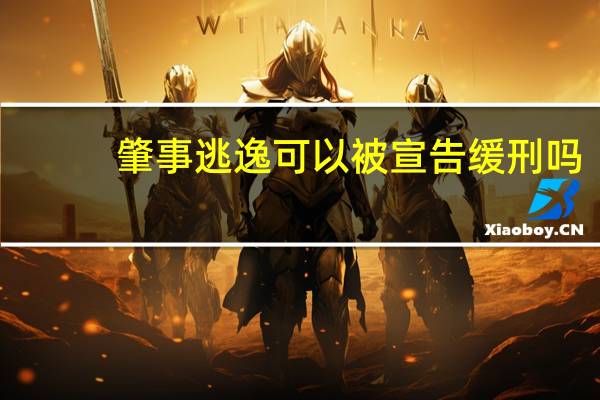 肇事逃逸可以被宣告缓刑吗