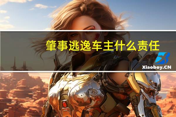 肇事逃逸车主什么责任