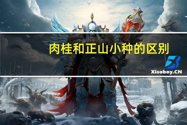 肉桂和正山小种的区别